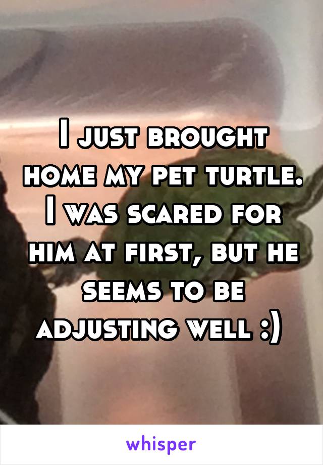 I just brought home my pet turtle. I was scared for him at first, but he seems to be adjusting well :) 