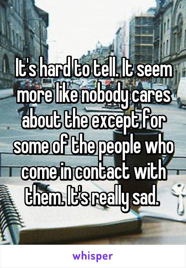 It's hard to tell. It seem more like nobody cares about the except for some of the people who come in contact with them. It's really sad. 