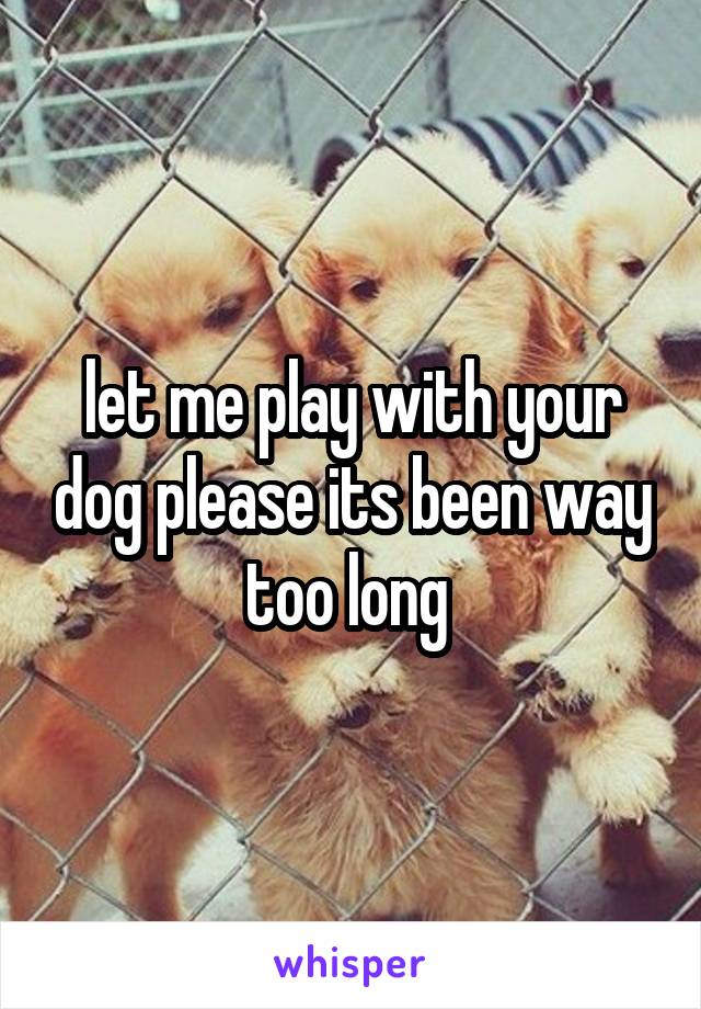 let me play with your dog please its been way too long 