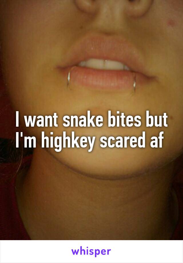 I want snake bites but I'm highkey scared af 