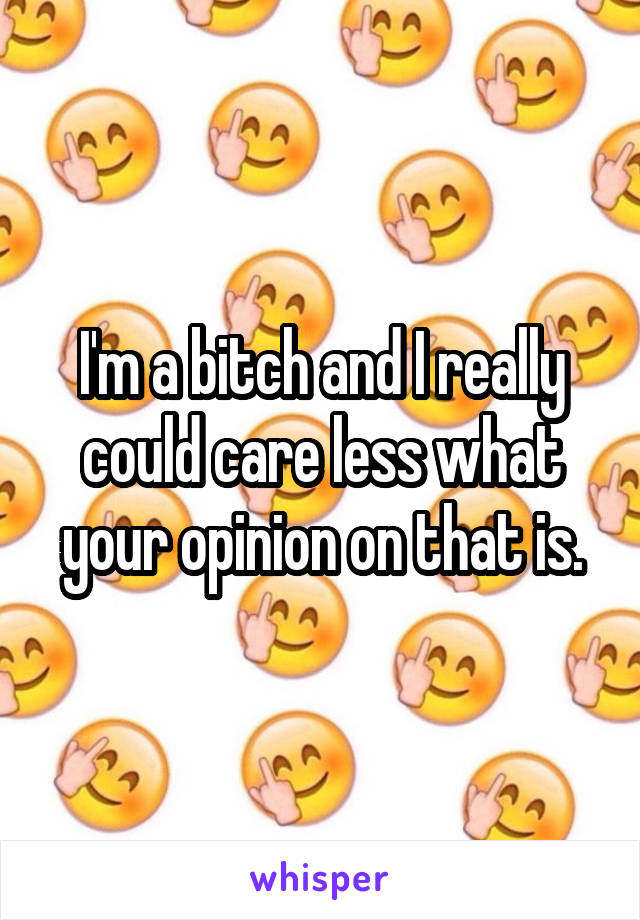 I'm a bitch and I really could care less what your opinion on that is.
