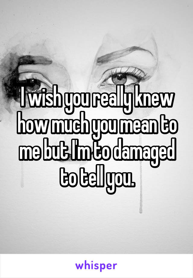 I wish you really knew how much you mean to me but I'm to damaged to tell you.