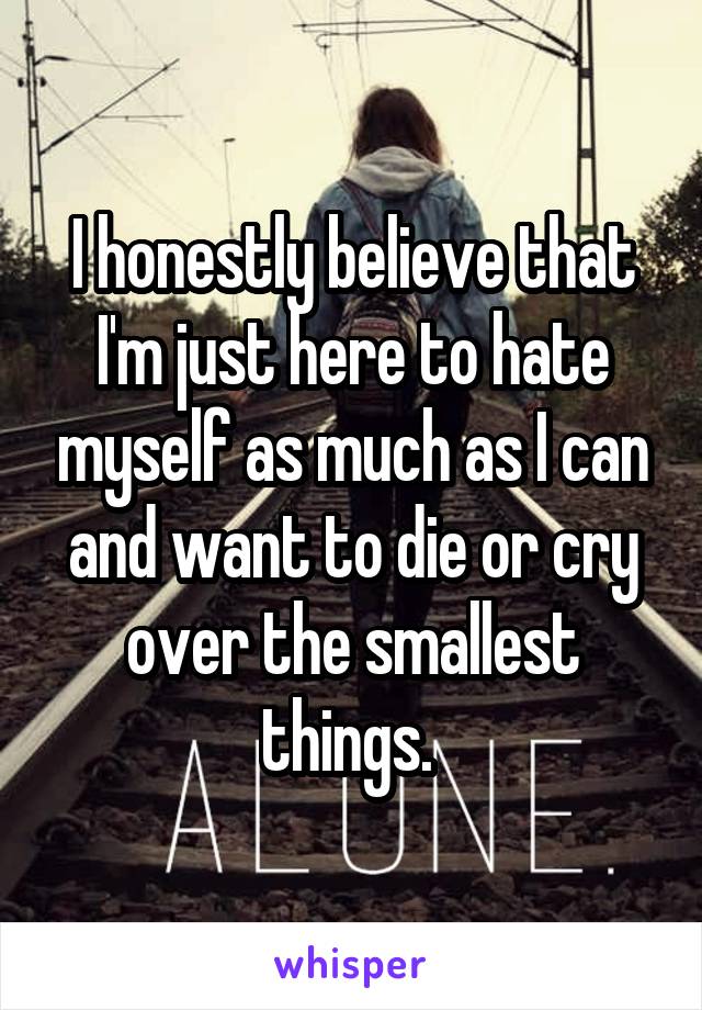 I honestly believe that I'm just here to hate myself as much as I can and want to die or cry over the smallest things. 