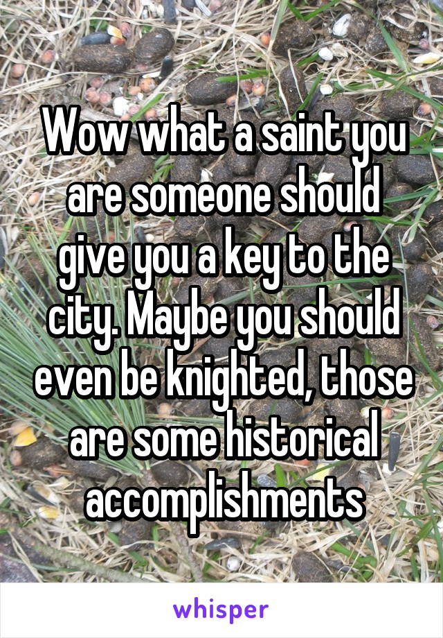 Wow what a saint you are someone should give you a key to the city. Maybe you should even be knighted, those are some historical accomplishments