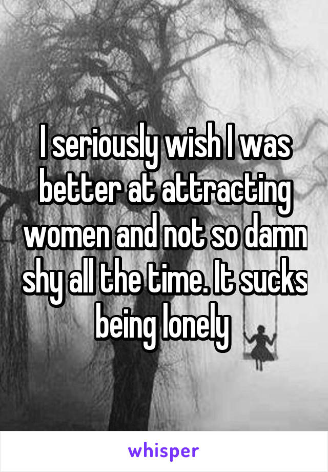 I seriously wish I was better at attracting women and not so damn shy all the time. It sucks being lonely 
