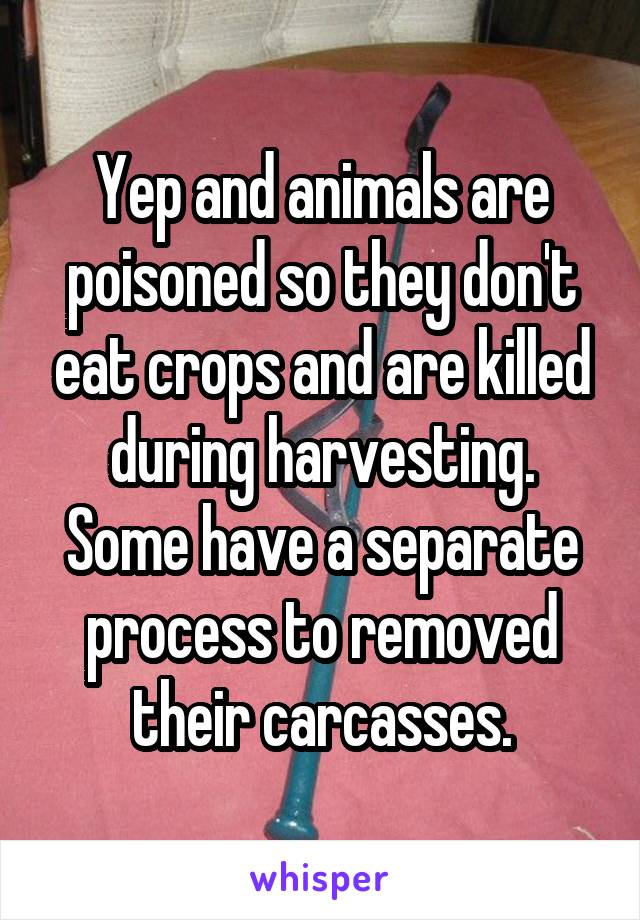 Yep and animals are poisoned so they don't eat crops and are killed during harvesting. Some have a separate process to removed their carcasses.