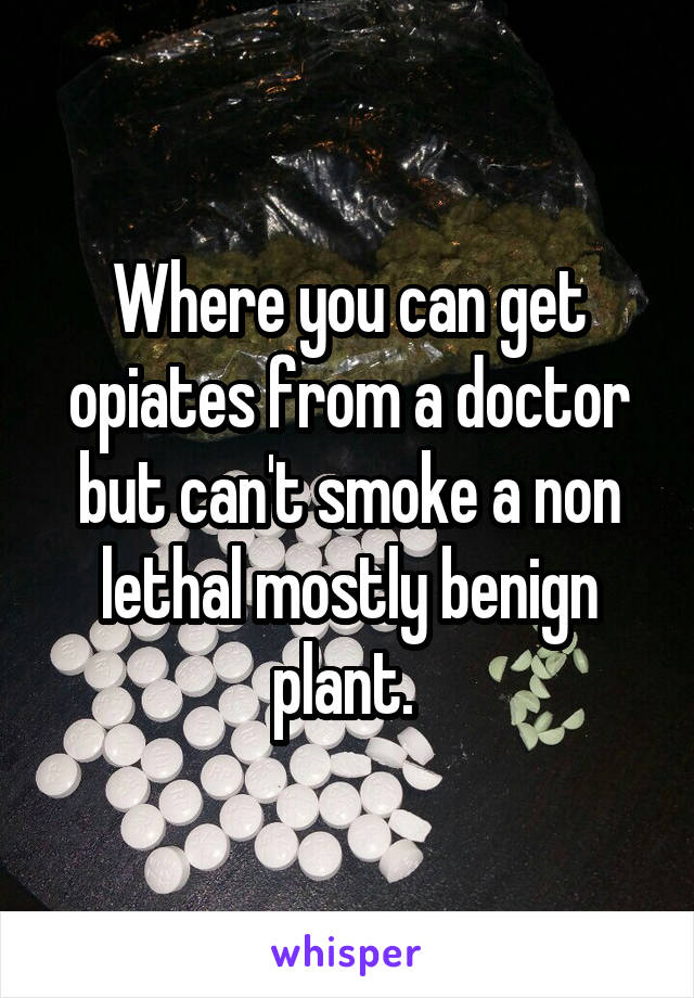 Where you can get opiates from a doctor but can't smoke a non lethal mostly benign plant. 