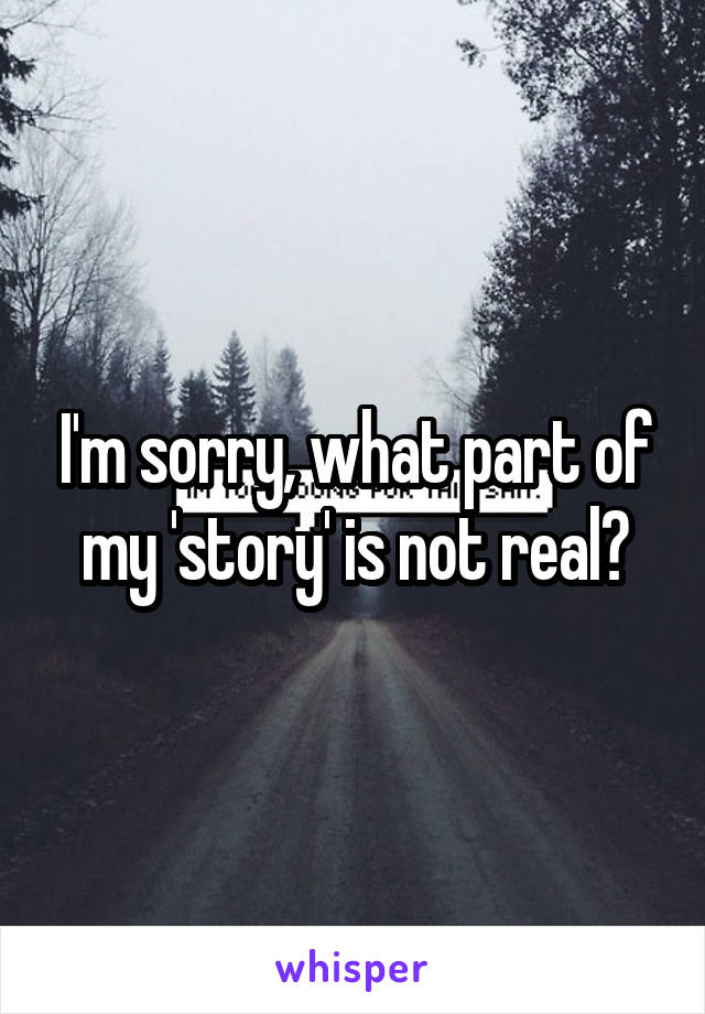 I'm sorry, what part of my 'story' is not real?