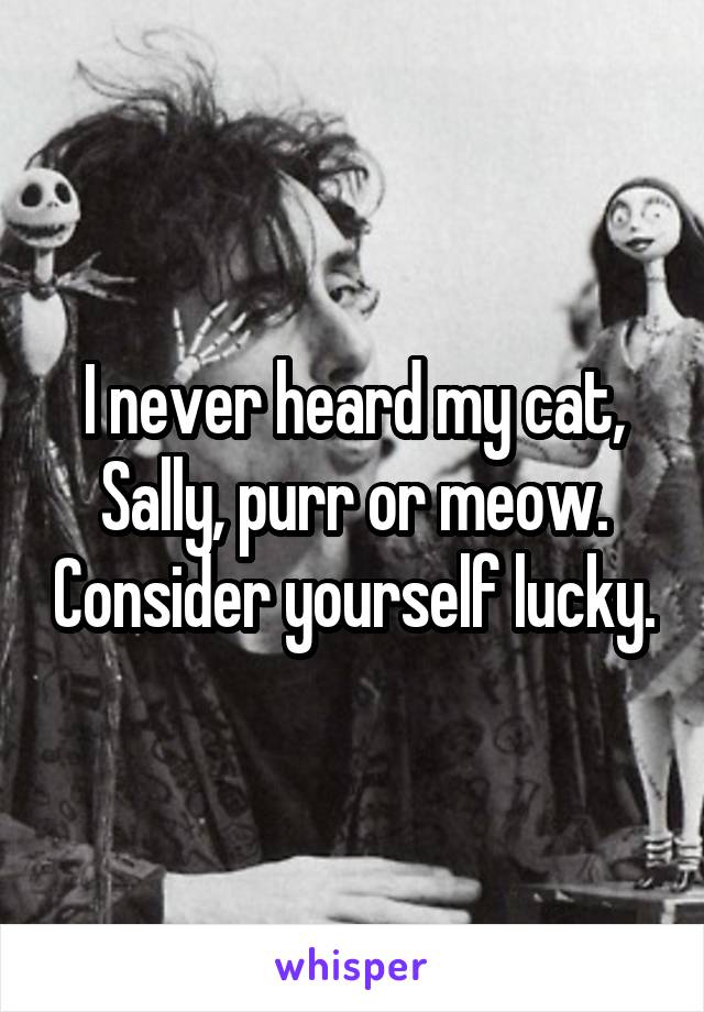 I never heard my cat, Sally, purr or meow. Consider yourself lucky.