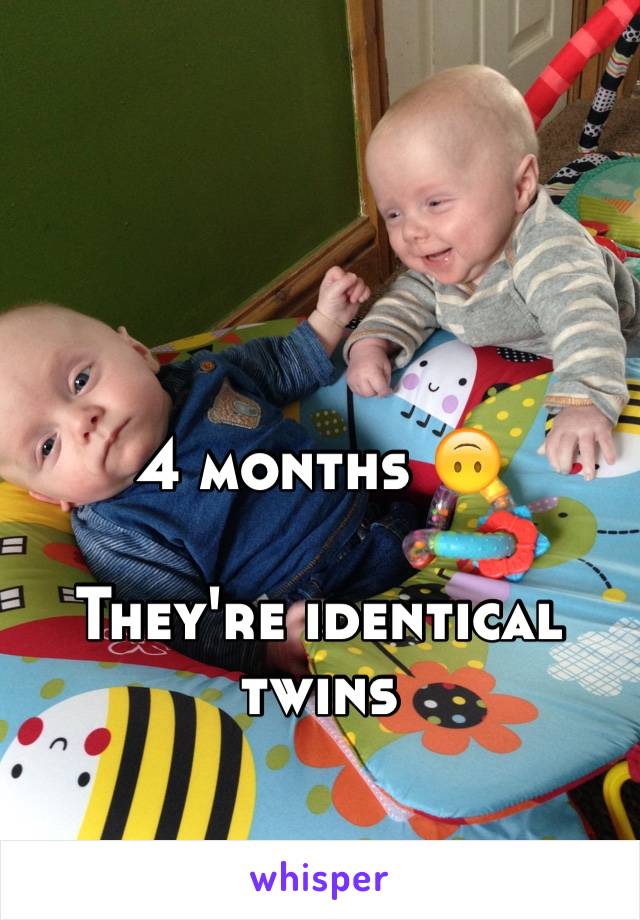 4 months 🙃

They're identical twins