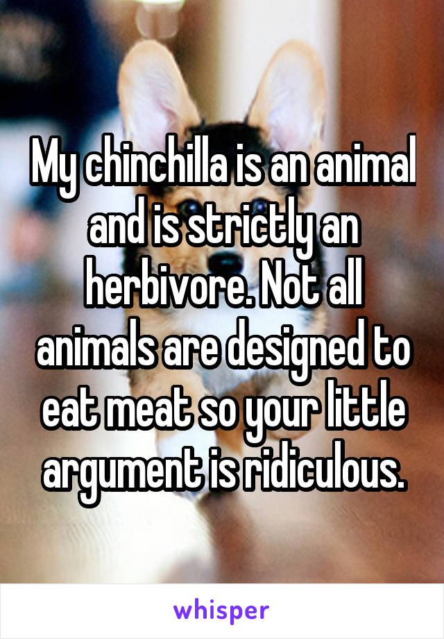 My chinchilla is an animal and is strictly an herbivore. Not all animals are designed to eat meat so your little argument is ridiculous.