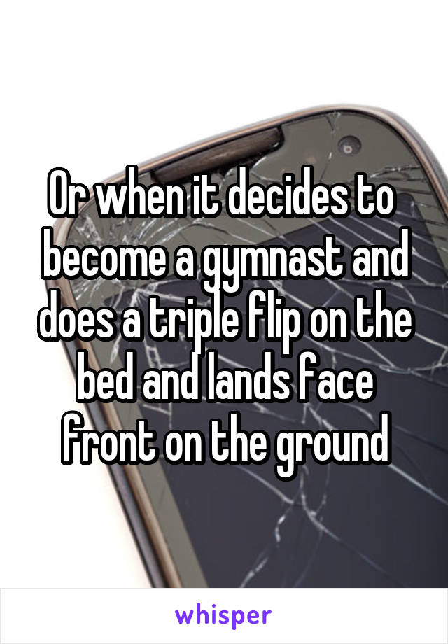 Or when it decides to  become a gymnast and does a triple flip on the bed and lands face front on the ground