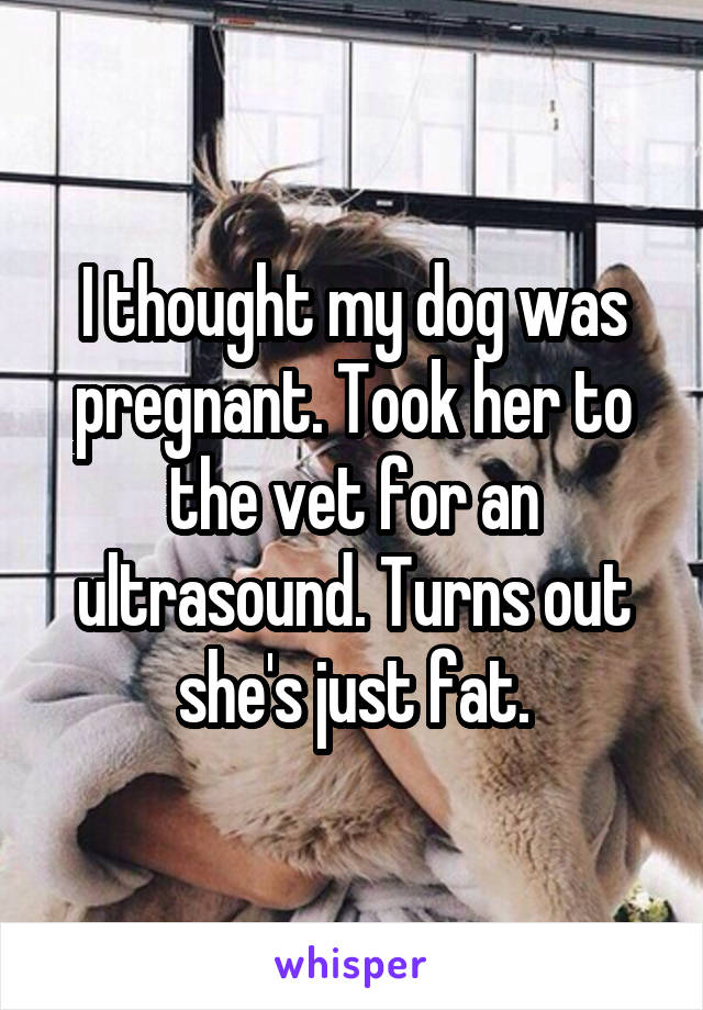 I thought my dog was pregnant. Took her to the vet for an ultrasound. Turns out she's just fat.