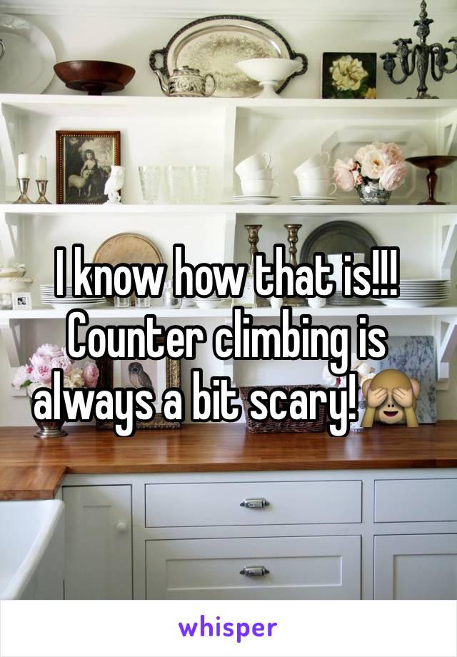 I know how that is!!! Counter climbing is always a bit scary!🙈