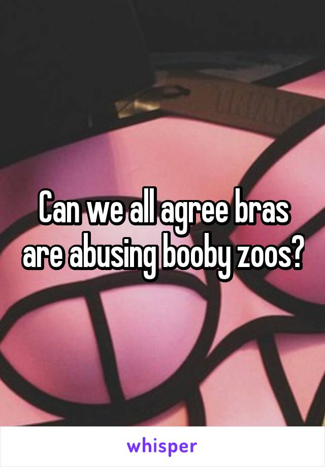 Can we all agree bras are abusing booby zoos?