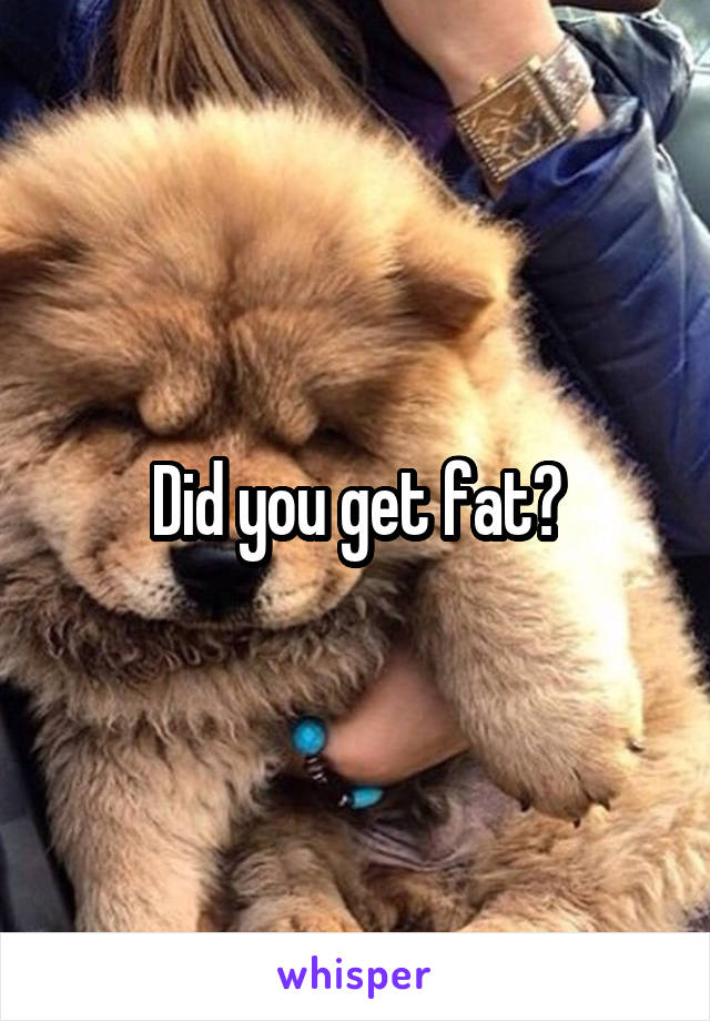 Did you get fat?