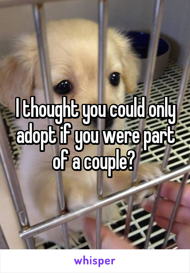 I thought you could only adopt if you were part of a couple? 
