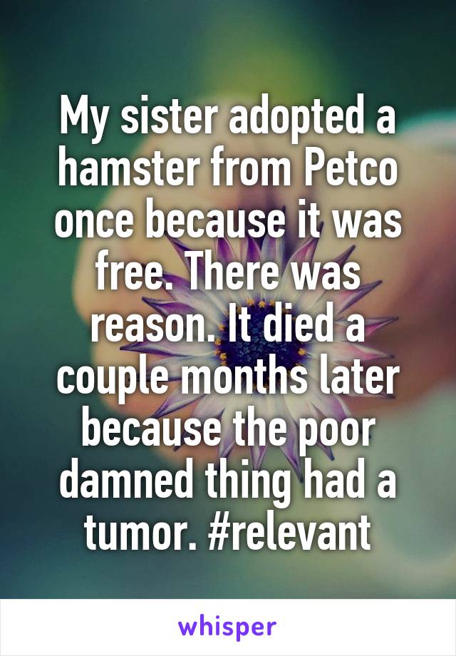My sister adopted a hamster from Petco once because it was free. There was reason. It died a couple months later because the poor damned thing had a tumor. #relevant