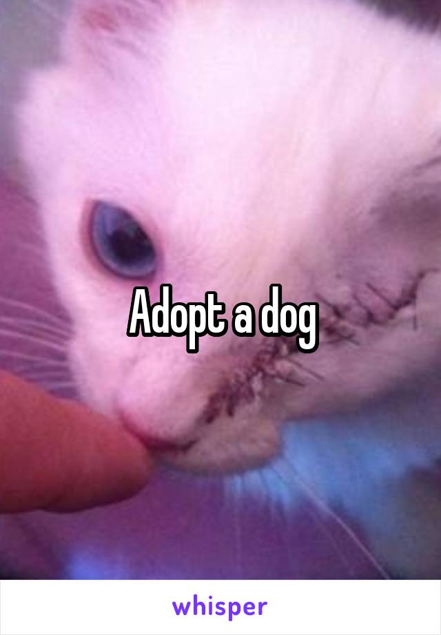 Adopt a dog