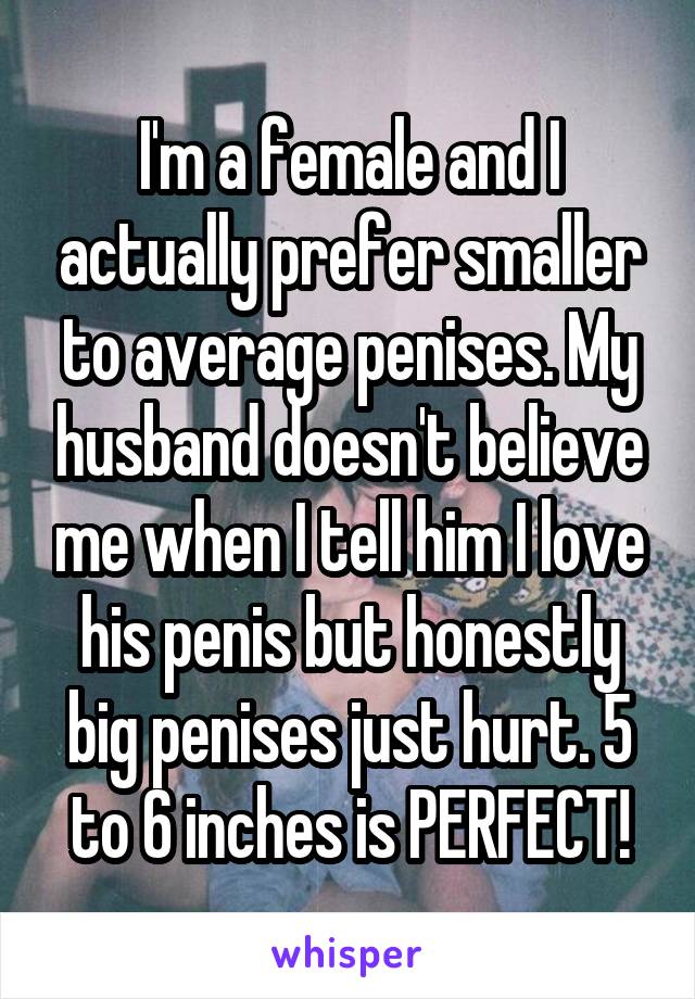 I'm a female and I actually prefer smaller to average penises. My husband doesn't believe me when I tell him I love his penis but honestly big penises just hurt. 5 to 6 inches is PERFECT!