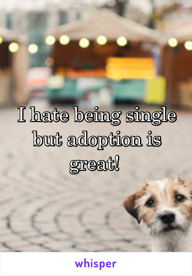 I hate being single but adoption is great! 