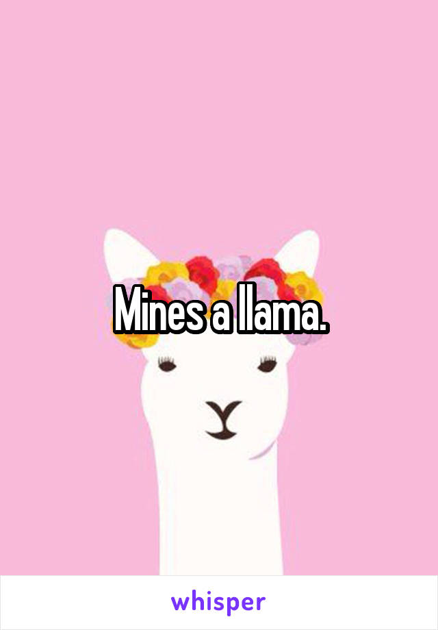 Mines a llama.