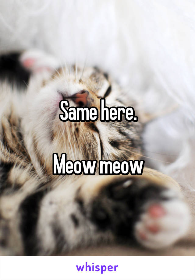 Same here.

Meow meow