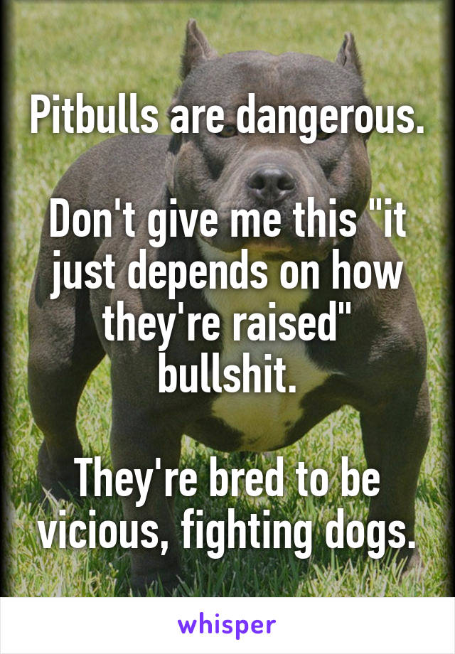 Pitbulls are dangerous.

Don't give me this "it just depends on how they're raised" bullshit.

They're bred to be vicious, fighting dogs.