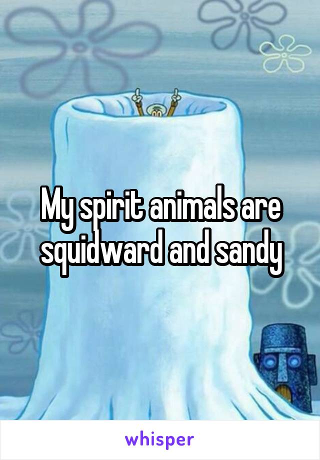 My spirit animals are squidward and sandy