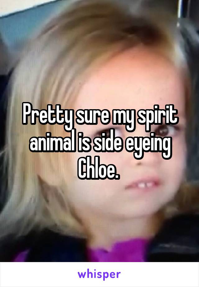 Pretty sure my spirit animal is side eyeing Chloe. 