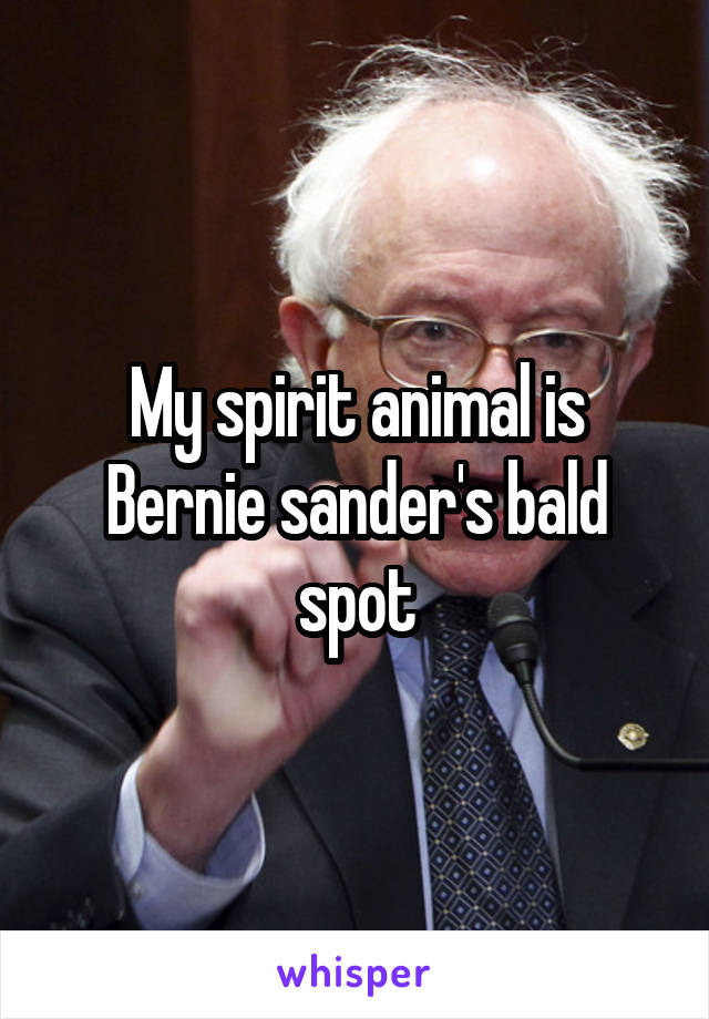 My spirit animal is Bernie sander's bald spot