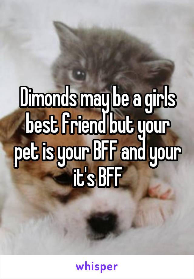 Dimonds may be a girls best friend but your pet is your BFF and your it's BFF