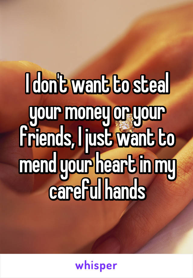 I don't want to steal your money or your friends, I just want to mend your heart in my careful hands