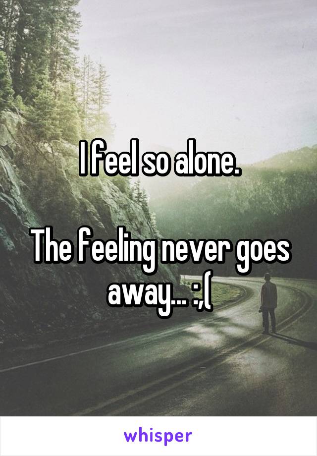 I feel so alone.

The feeling never goes away... :,(