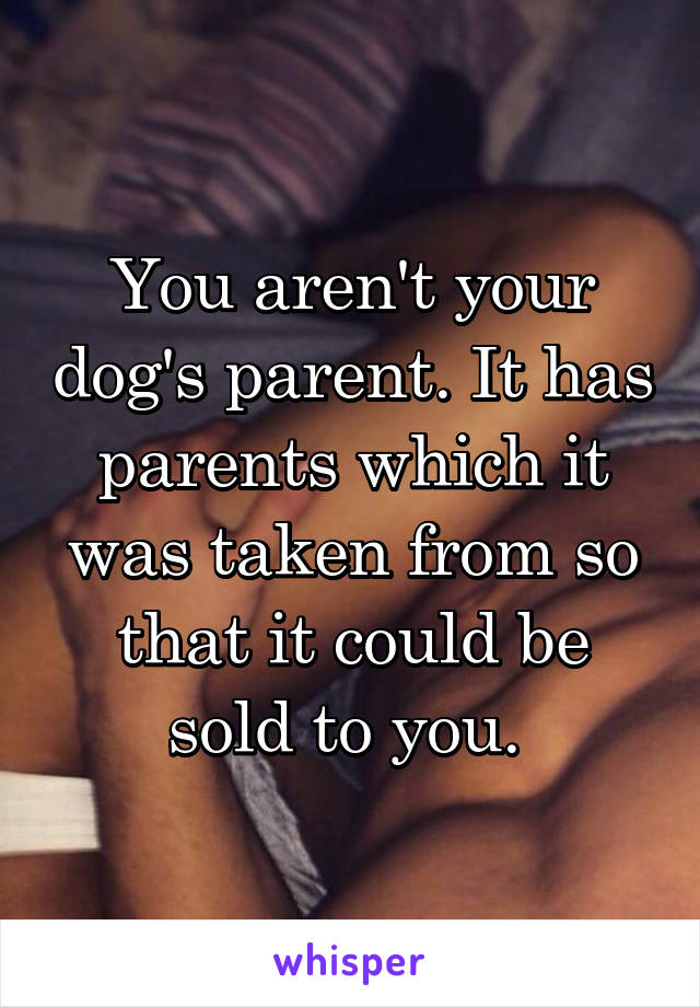 You aren't your dog's parent. It has parents which it was taken from so that it could be sold to you. 