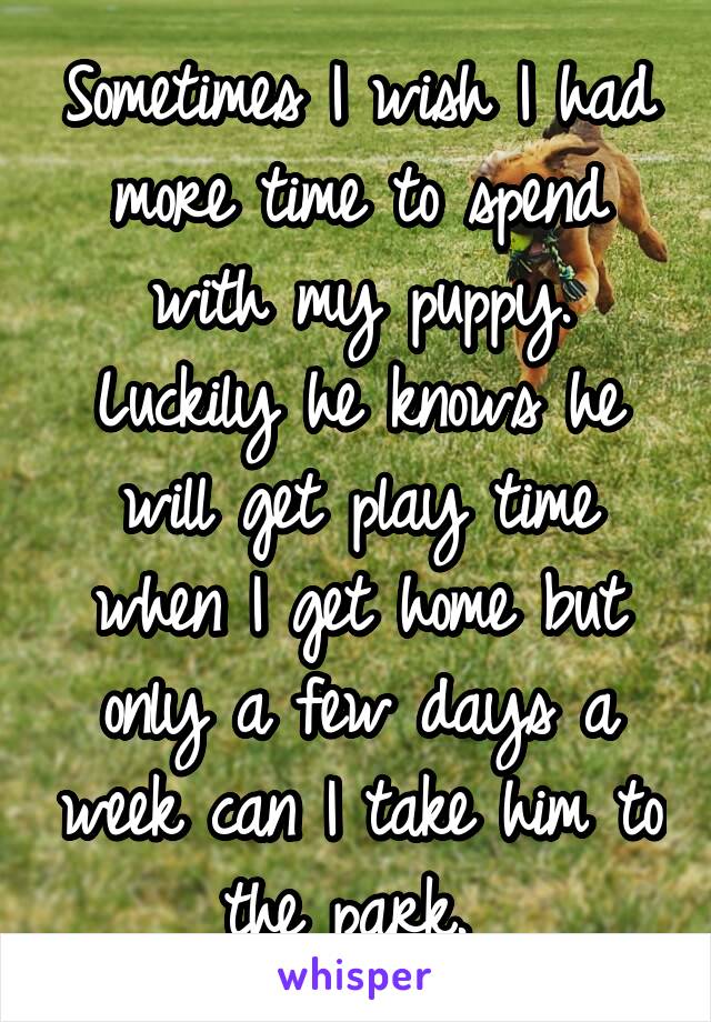 Sometimes I wish I had more time to spend with my puppy. Luckily he knows he will get play time when I get home but only a few days a week can I take him to the park. 