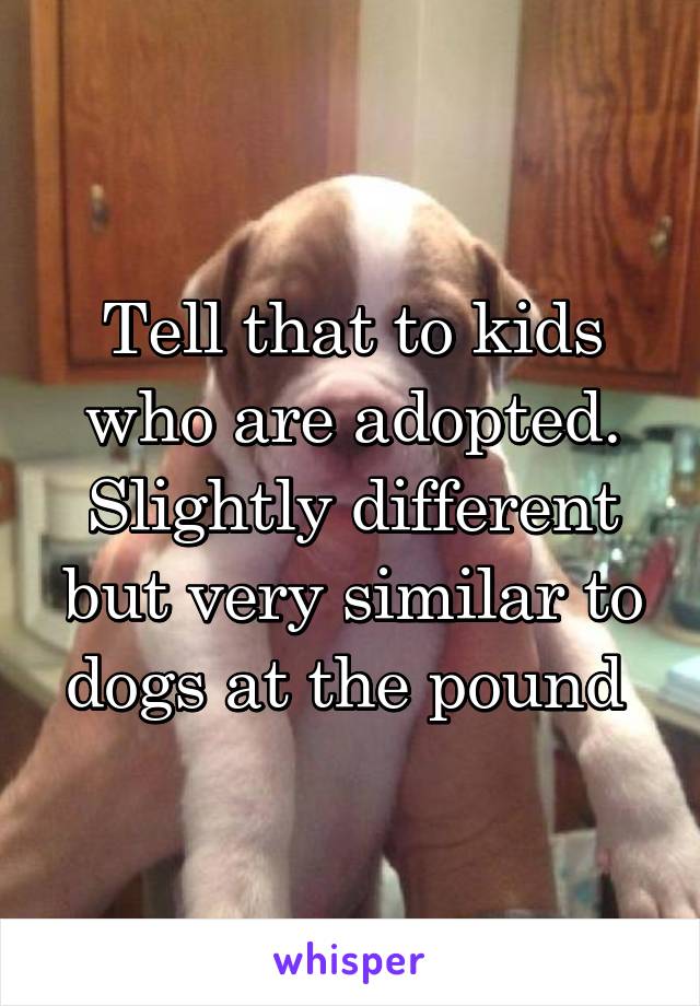 Tell that to kids who are adopted. Slightly different but very similar to dogs at the pound 