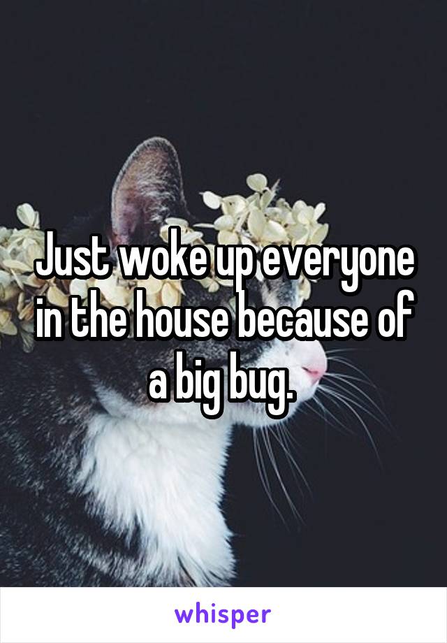 Just woke up everyone in the house because of a big bug. 