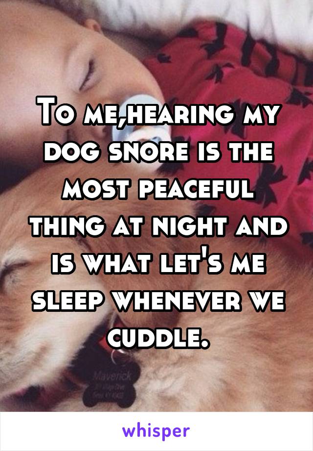 To me,hearing my dog snore is the most peaceful thing at night and is what let's me sleep whenever we cuddle.