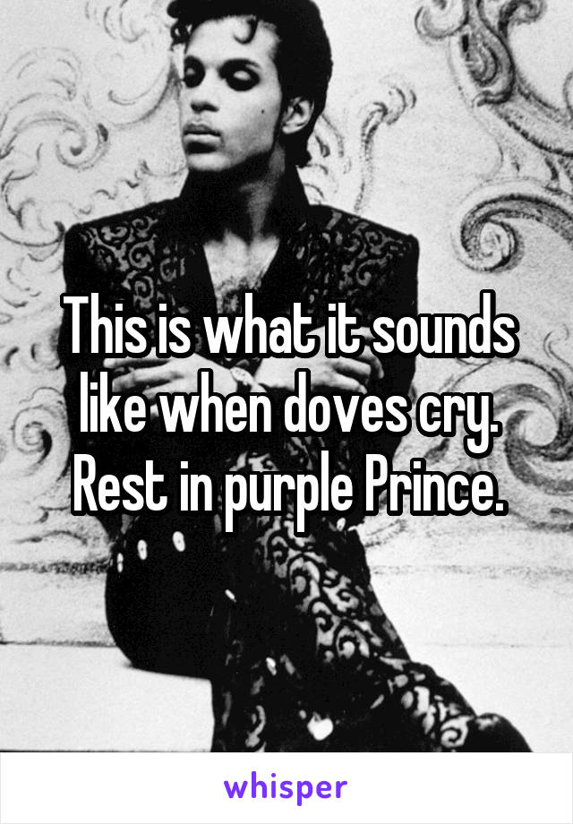 This is what it sounds like when doves cry. Rest in purple Prince.