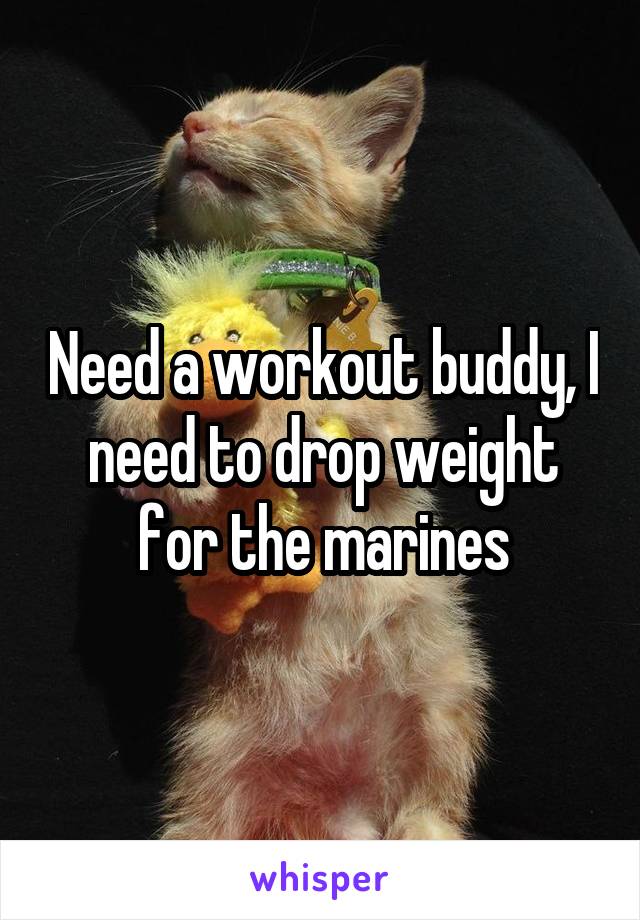 Need a workout buddy, I need to drop weight for the marines