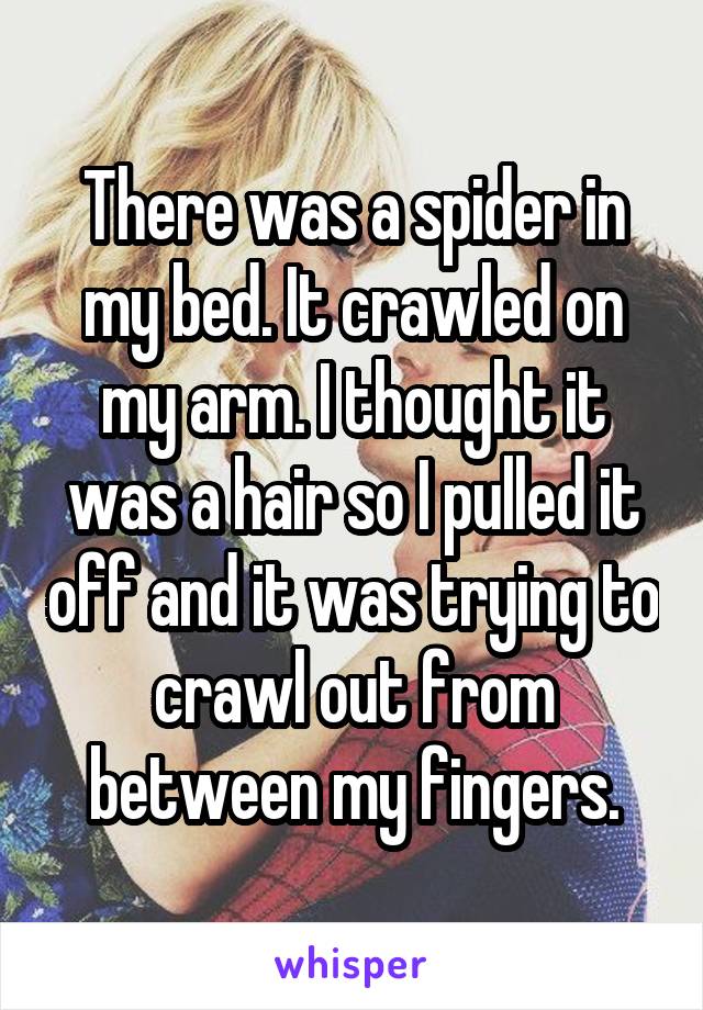 There was a spider in my bed. It crawled on my arm. I thought it was a hair so I pulled it off and it was trying to crawl out from between my fingers.