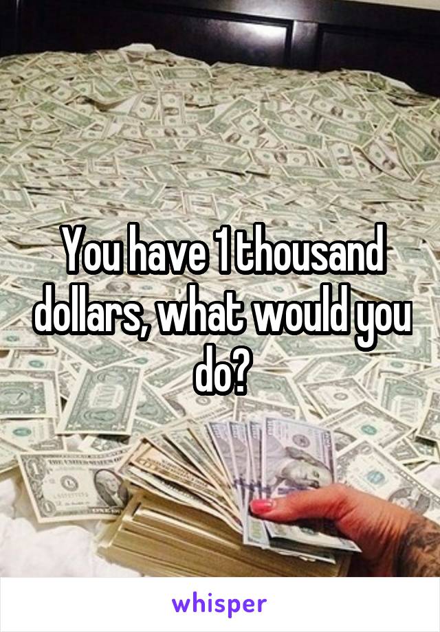 You have 1 thousand dollars, what would you do?