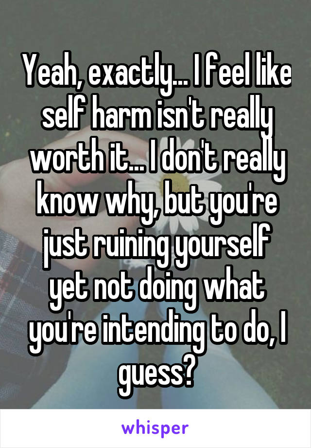 Yeah, exactly... I feel like self harm isn't really worth it... I don't really know why, but you're just ruining yourself yet not doing what you're intending to do, I guess?