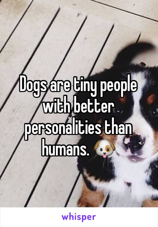 Dogs are tiny people with better personalities than humans. 🐶