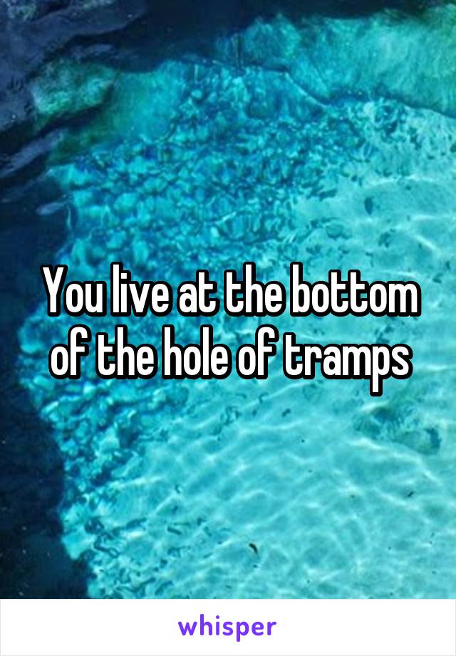 You live at the bottom of the hole of tramps