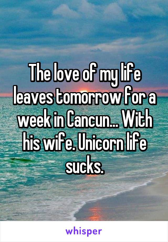 The love of my life leaves tomorrow for a week in Cancun... With his wife. Unicorn life sucks.