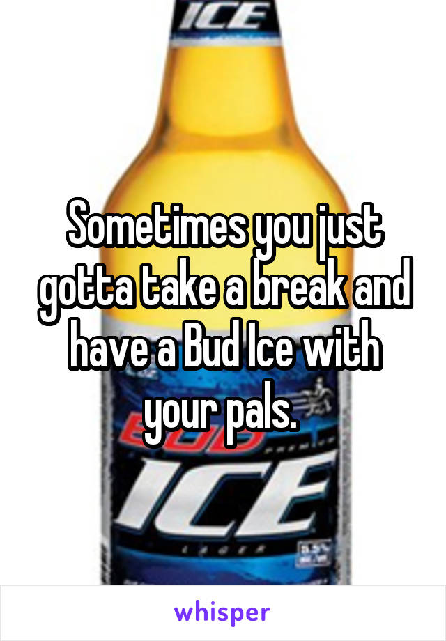 Sometimes you just gotta take a break and have a Bud Ice with your pals. 