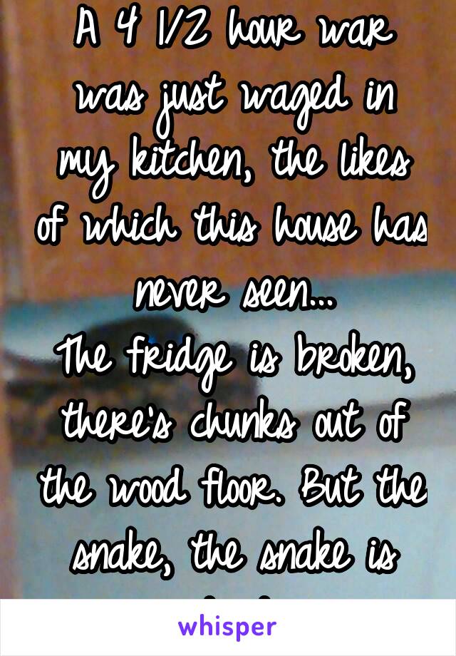 A 4 1/2 hour war was just waged in my kitchen, the likes of which this house has never seen...
The fridge is broken, there's chunks out of the wood floor. But the snake, the snake is dead