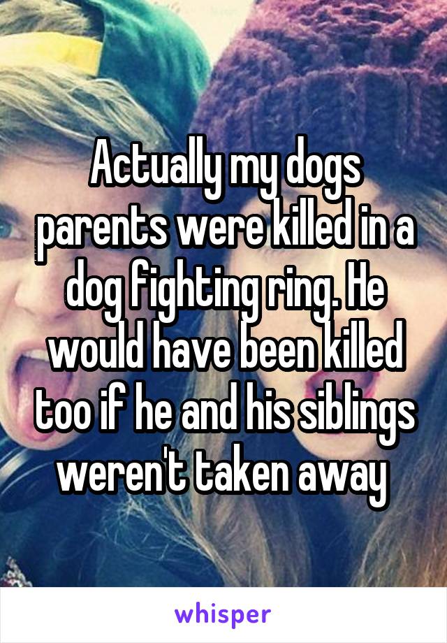 Actually my dogs parents were killed in a dog fighting ring. He would have been killed too if he and his siblings weren't taken away 